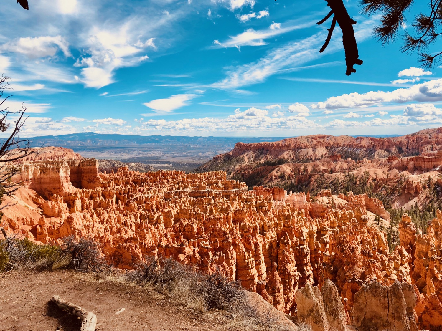 Hoodoos of Bryce Canyon